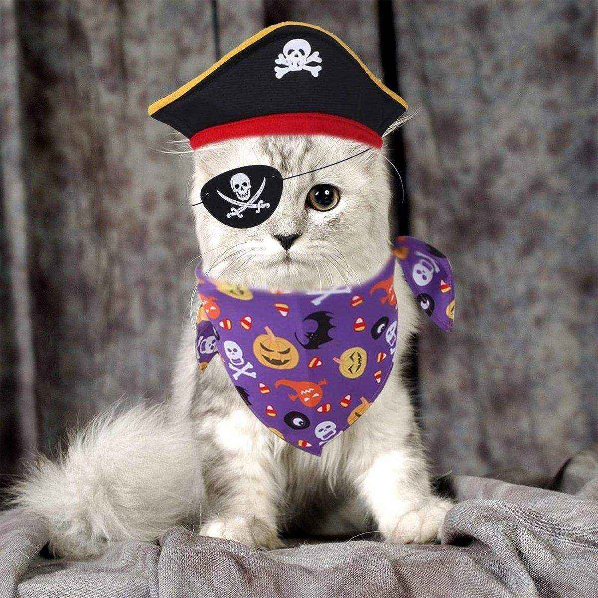 Halloween Pirate Hat Skeleton Cat Pumpkin Triangle Towel Suit for Pets - Image 11