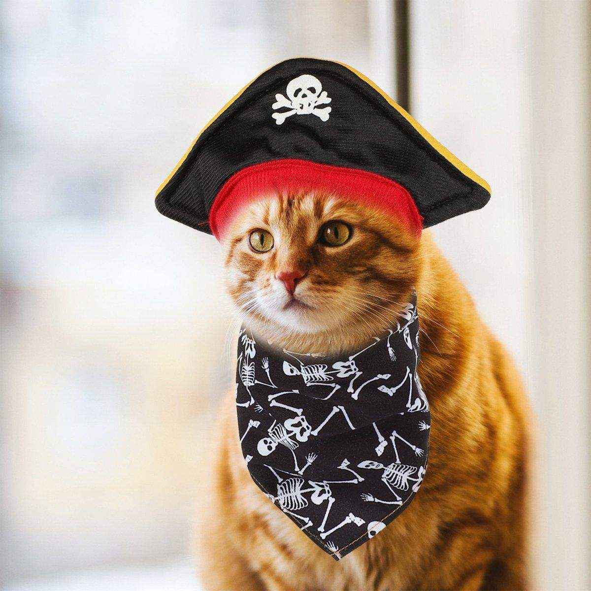 Halloween Pirate Hat Skeleton Cat Pumpkin Triangle Towel Suit for Pets - Image 8