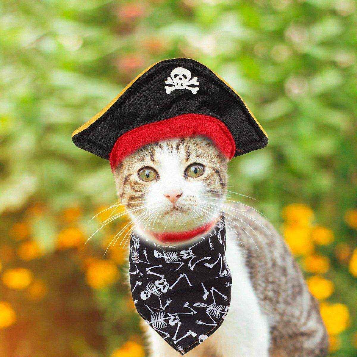 Halloween Pirate Hat Skeleton Cat Pumpkin Triangle Towel Suit for Pets - Image 9