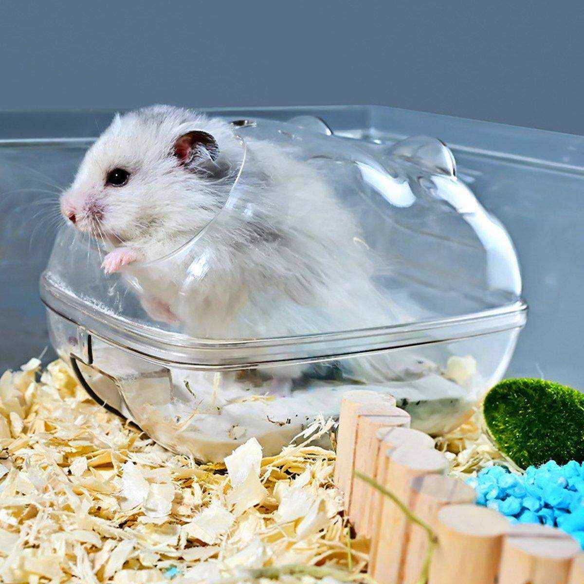Transparent Hamster House Bathroom & Toilet Nest for Small Pets - Image 7