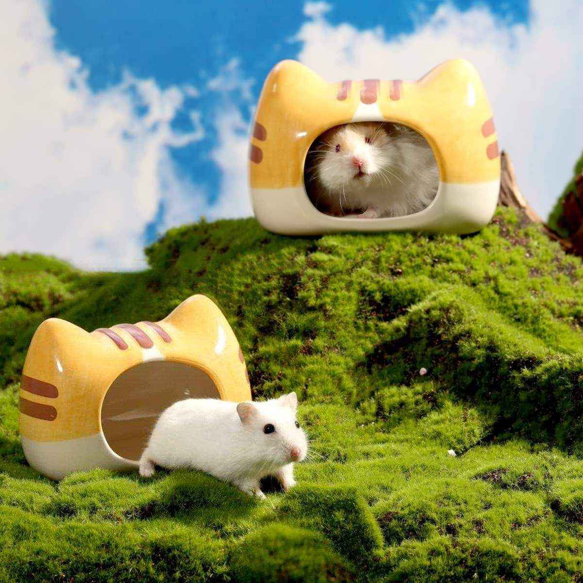 Hamster Porcelain Nest Escape House Golden Bear Tiger Head Porcelain Bowl Tiger Claw Water Bottle - Image 9