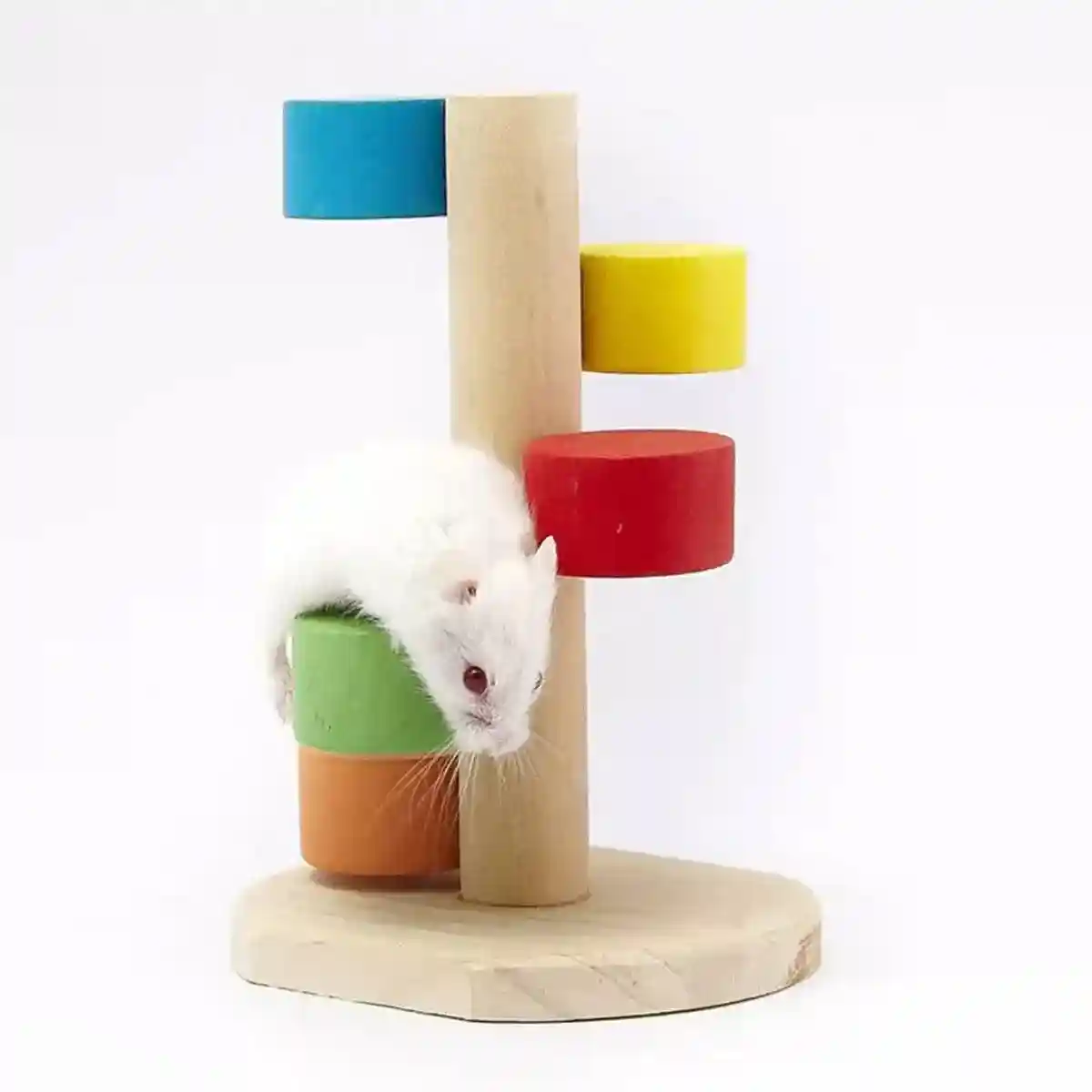 Colorful Wooden Climbing Toy for Hamsters Small Pet Play & Chew Ladder - Image 6
