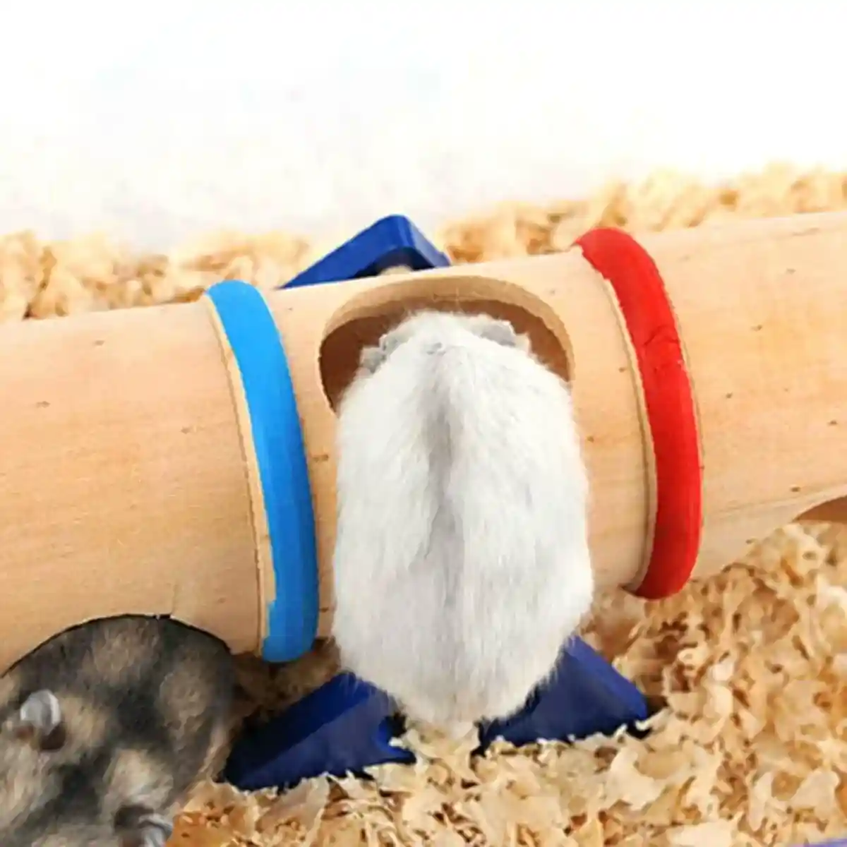 Colorful Wooden Seesaw Hamster Toy Interactive Tunnel for Small Pets - Image 10
