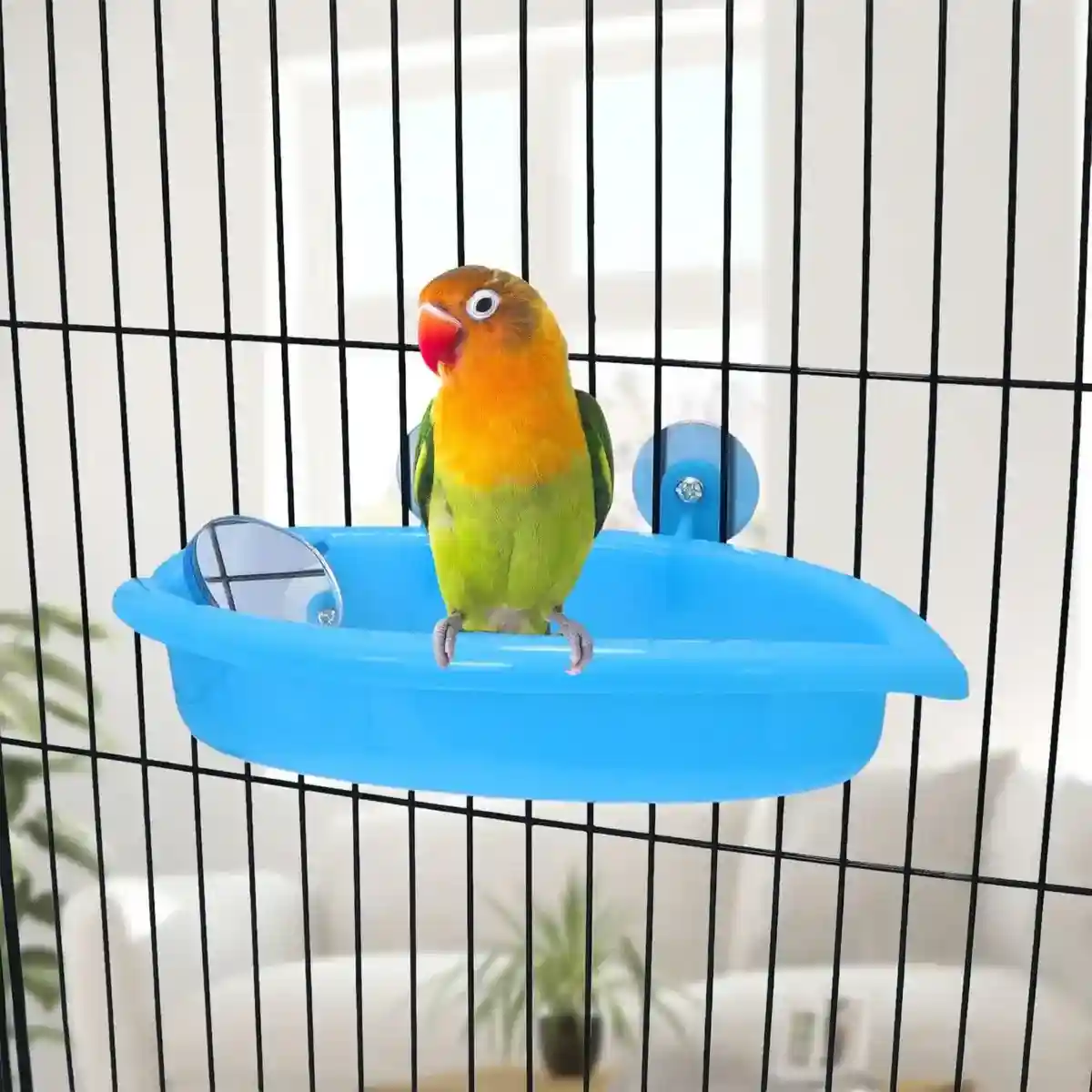Space-Saving Cage Feeder with Hanging Bird Bath and Mirror - Image 4