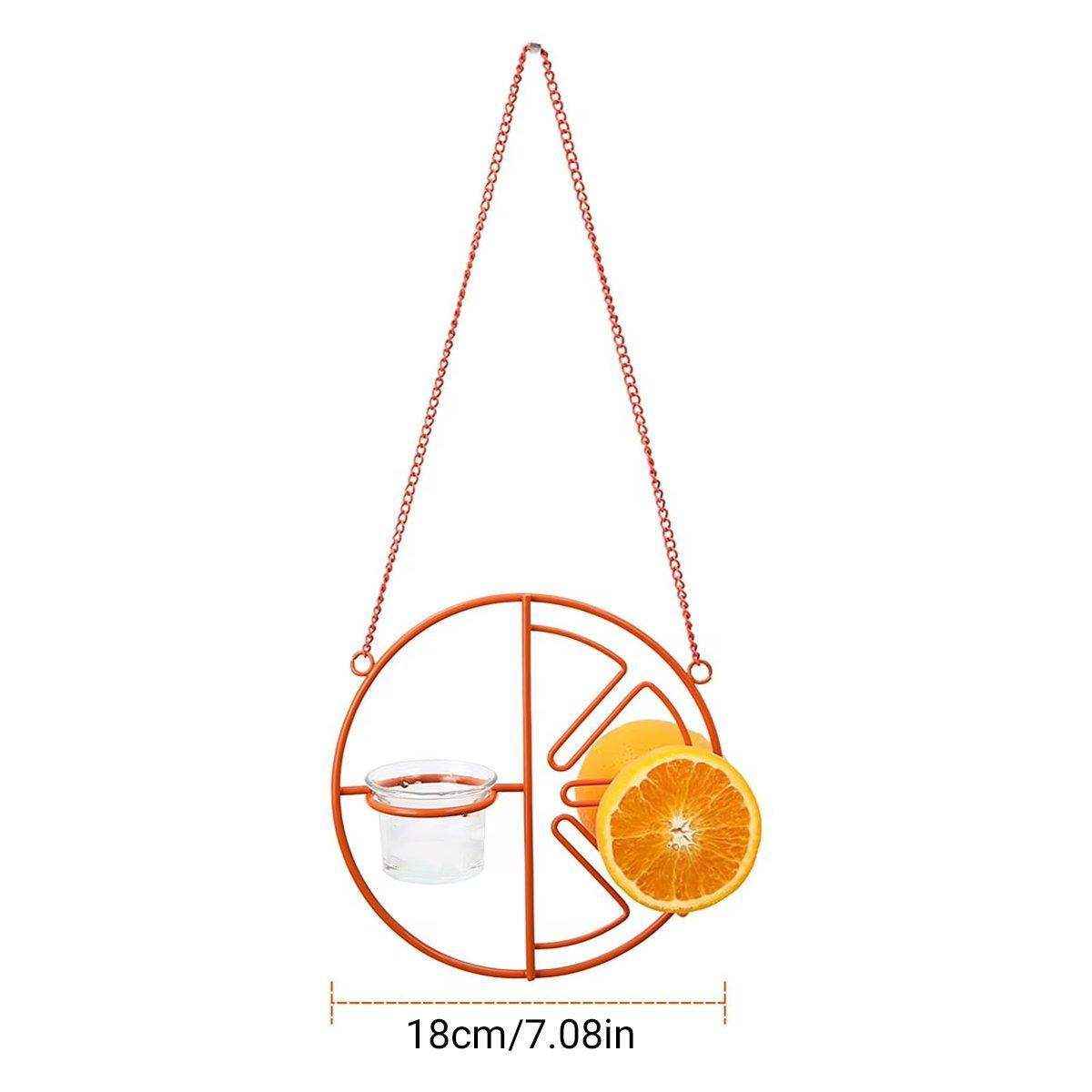 Hummingbird Feeding Bracket Outdoor Indoor Bird Feeder A Hummingbird Feeding Water - Image 11