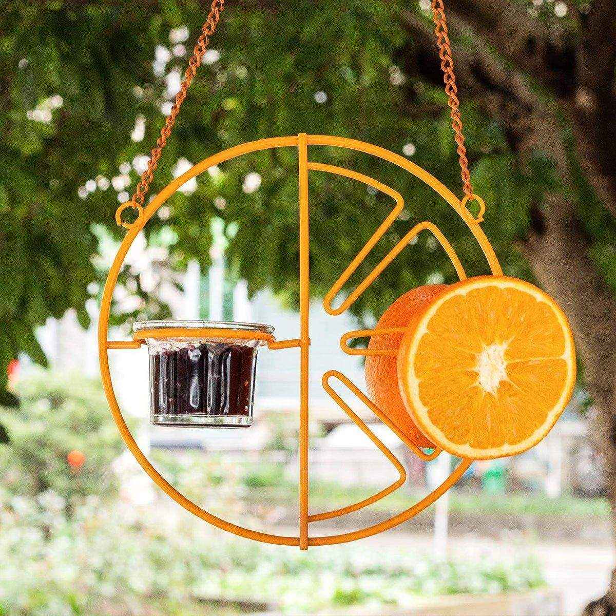 Hummingbird Feeding Bracket Outdoor Indoor Bird Feeder A Hummingbird Feeding Water - Image 14
