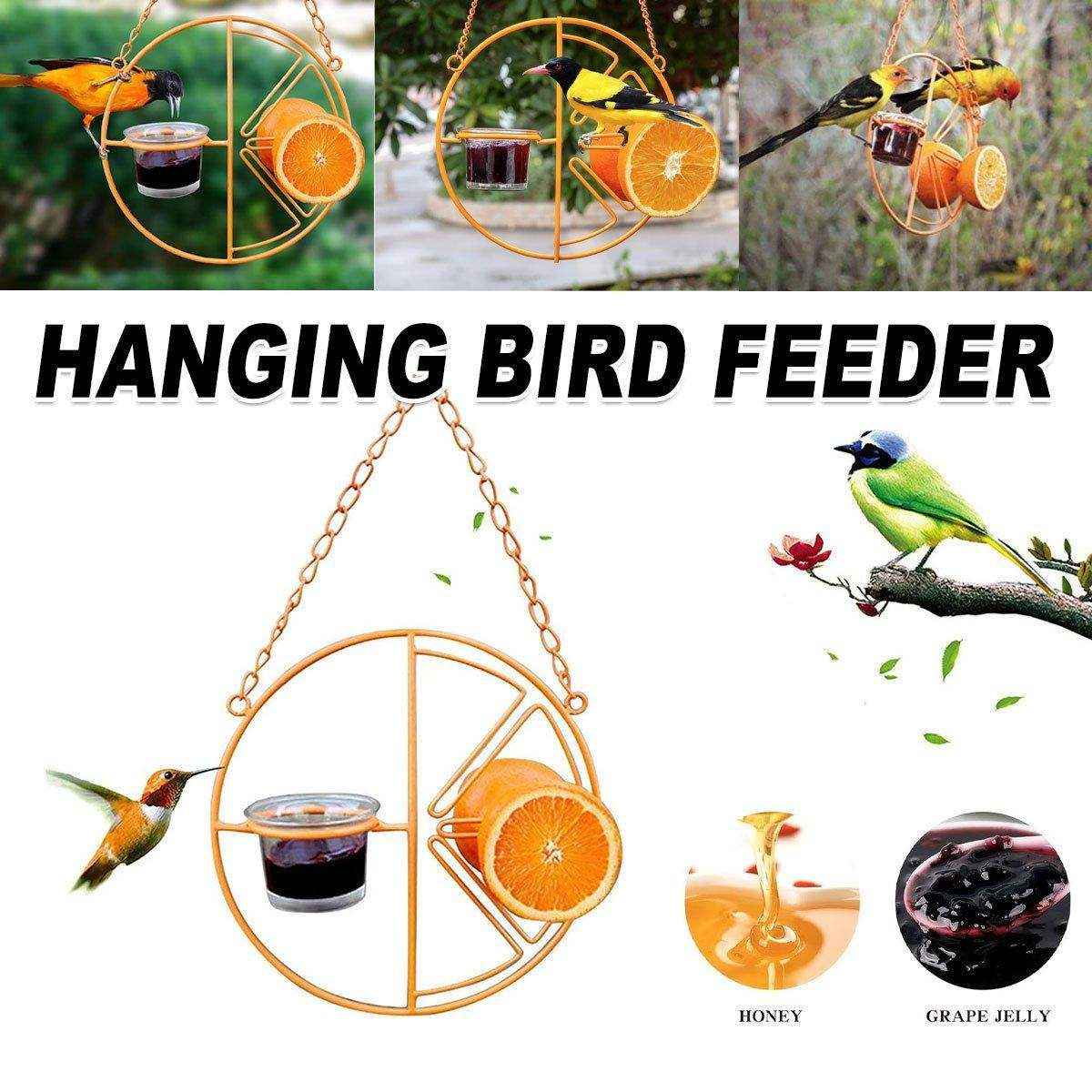Hummingbird Feeding Bracket Outdoor Indoor Bird Feeder A Hummingbird Feeding Water - Image 2