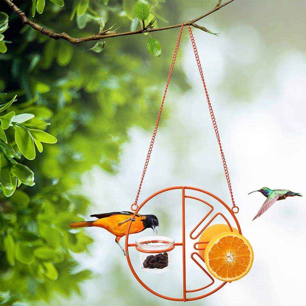 Hummingbird Feeding Bracket Outdoor Indoor Bird Feeder A Hummingbird Feeding Water - Image 4