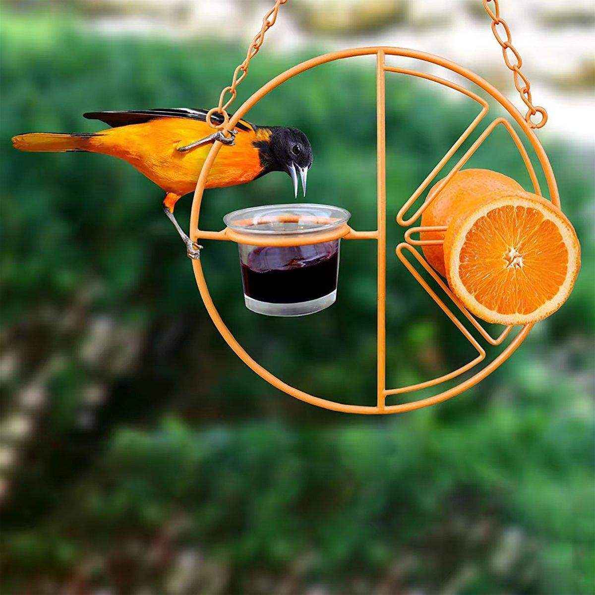Hummingbird Feeding Bracket Outdoor Indoor Bird Feeder A Hummingbird Feeding Water - Image 5