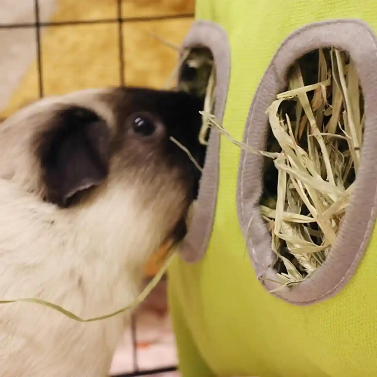 Hanging Hay Feeder Bag for Rabbits and Guinea Pigs - Image 8