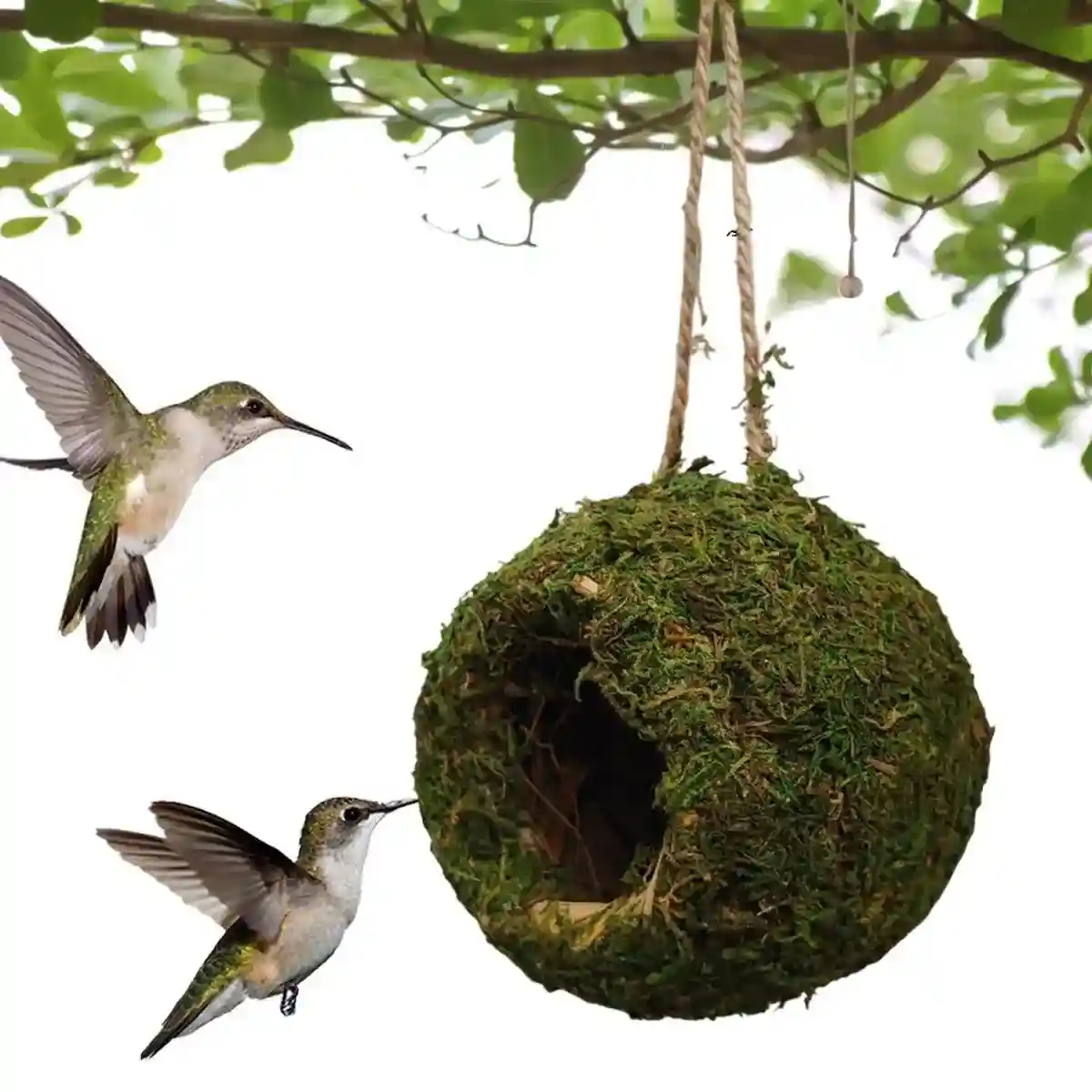 Eco-Friendly Hanging Moss House For Birds & Reptiles - Image 12