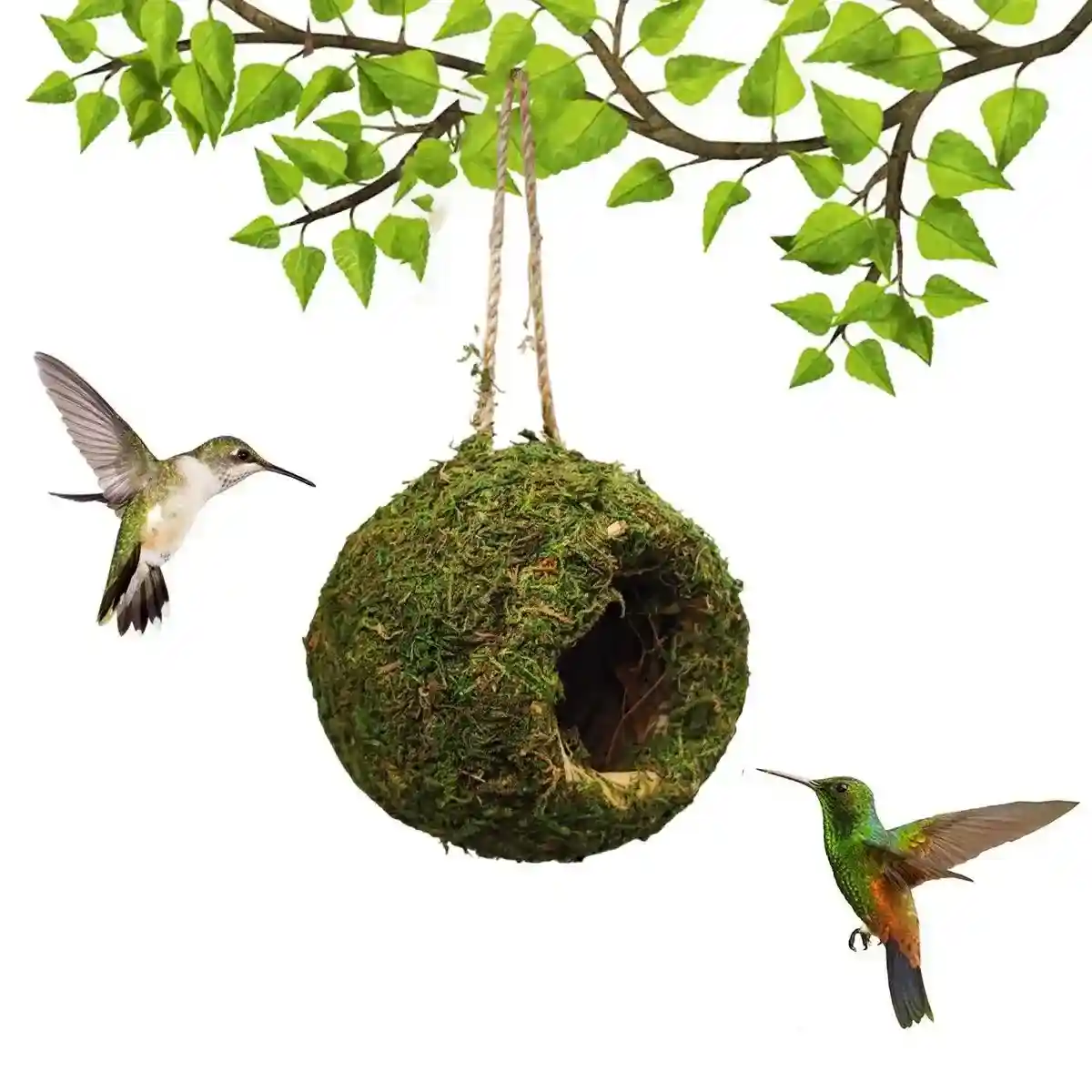 Eco-Friendly Hanging Moss House For Birds & Reptiles - Image 9