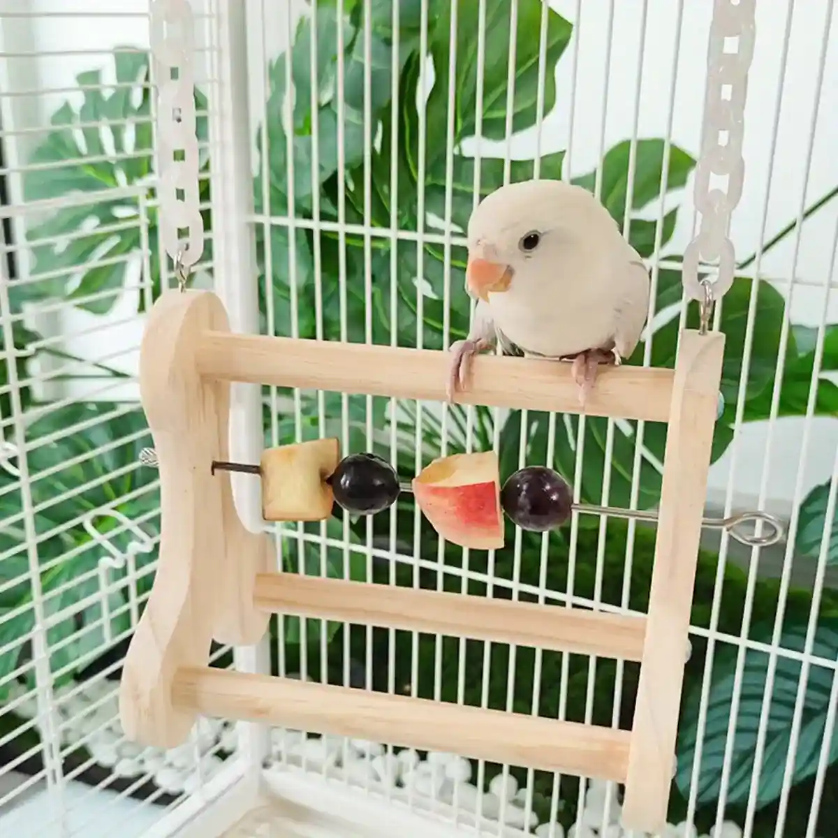 Hanging Wooden Bird Stand with Stainless Steel Fruit Fork - Image 5