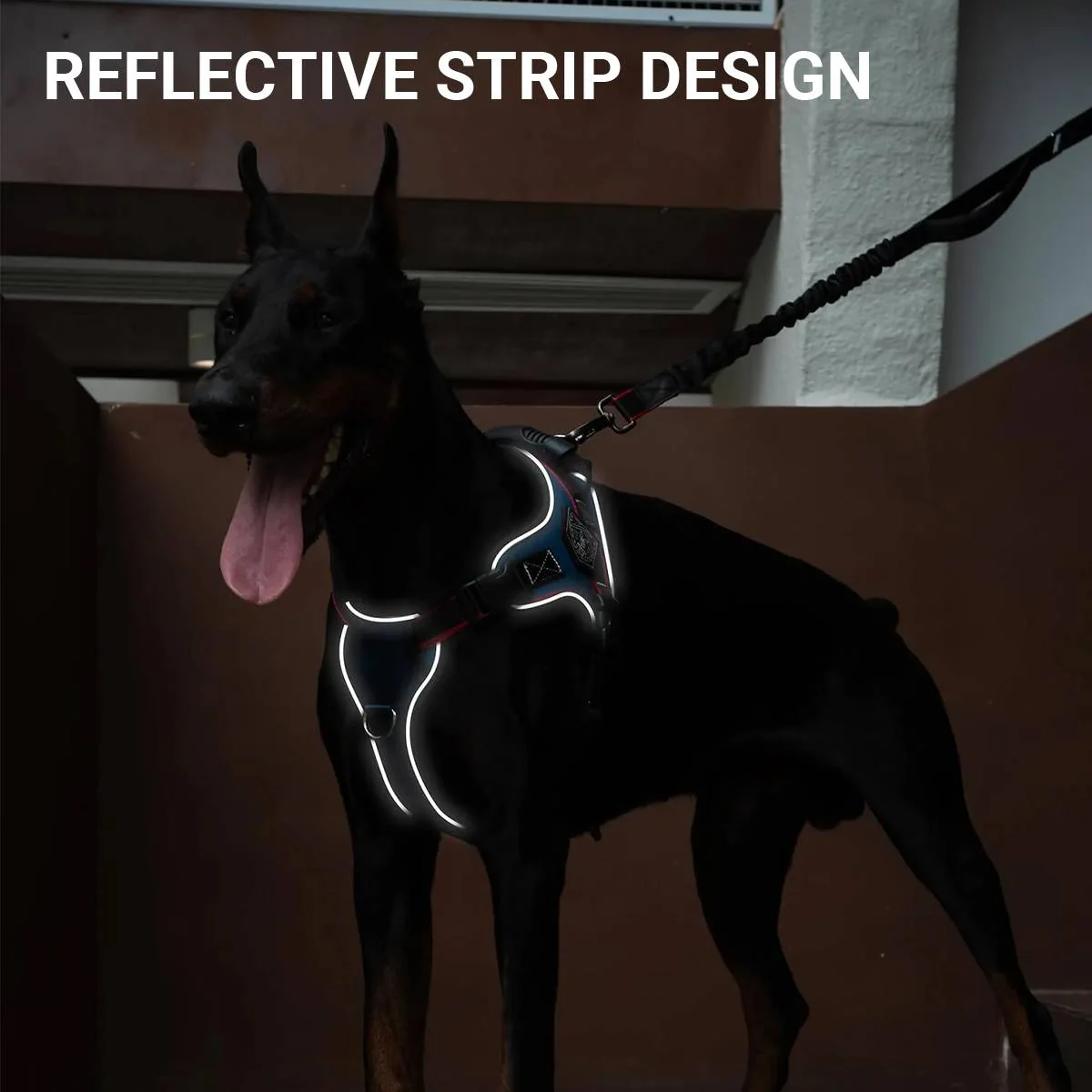 Heavy Duty Anti-Pull Dog Harness And Bungee Leash Set - Image 7