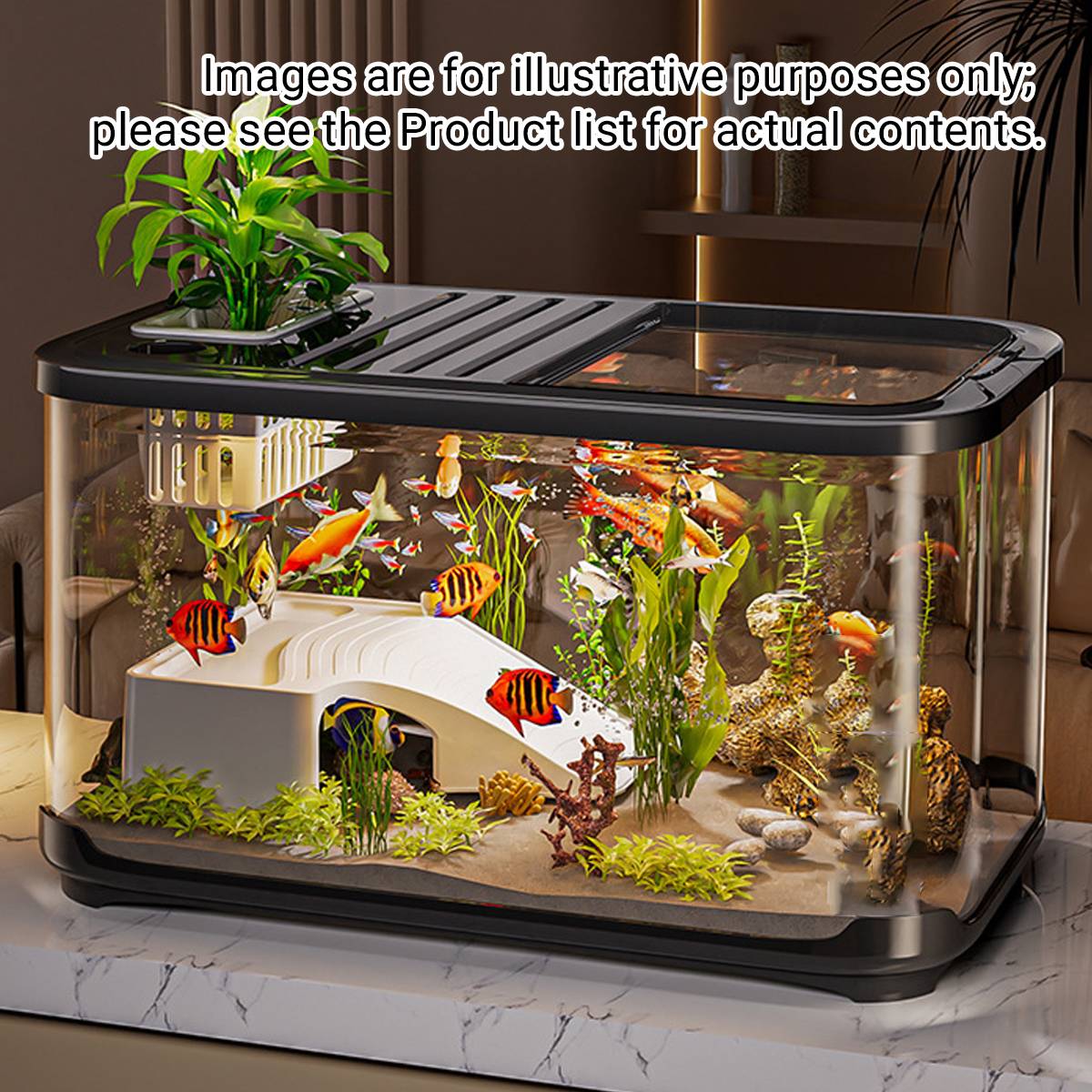 High Definition Fish Tank With Panoramic Viewing - Image 10