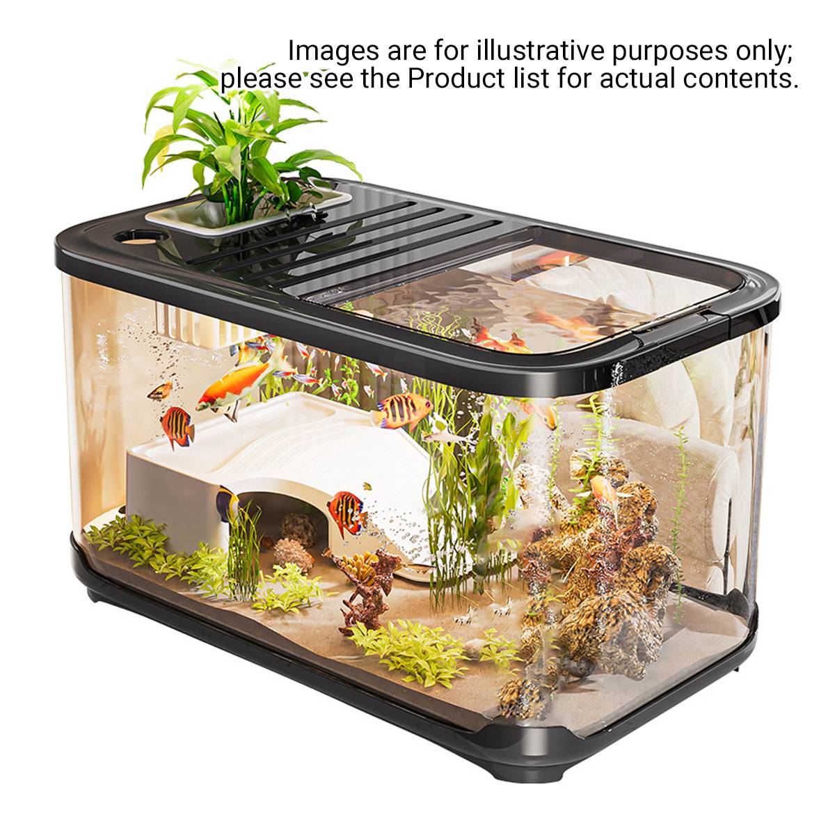 High Definition Fish Tank With Panoramic Viewing - Image 11