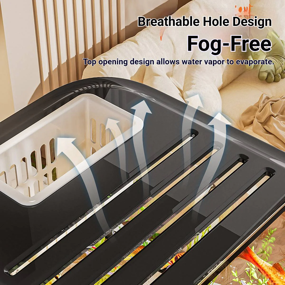 High Definition Fish Tank With Panoramic Viewing - Image 4