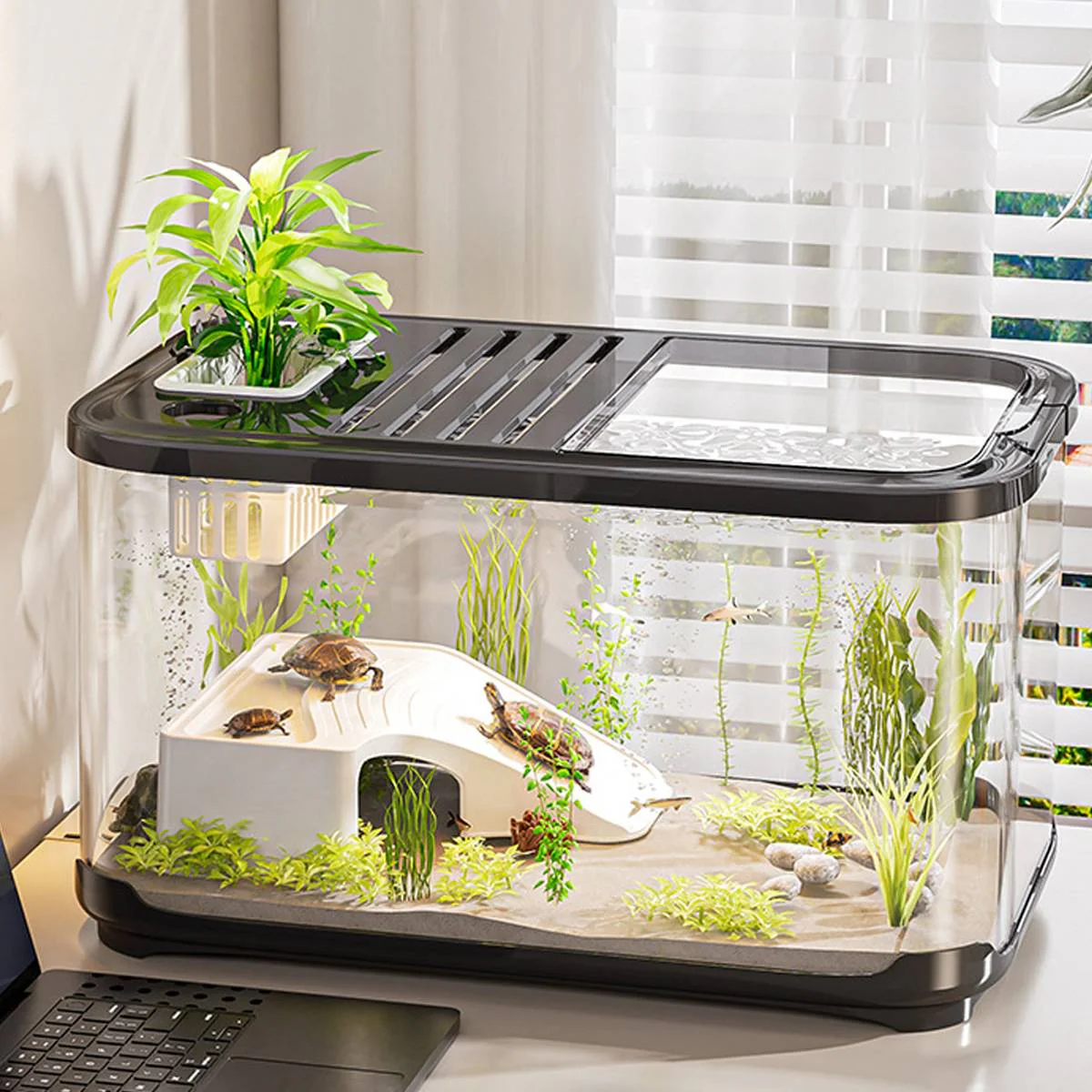 High Definition Fish Tank With Panoramic Viewing - Image 7