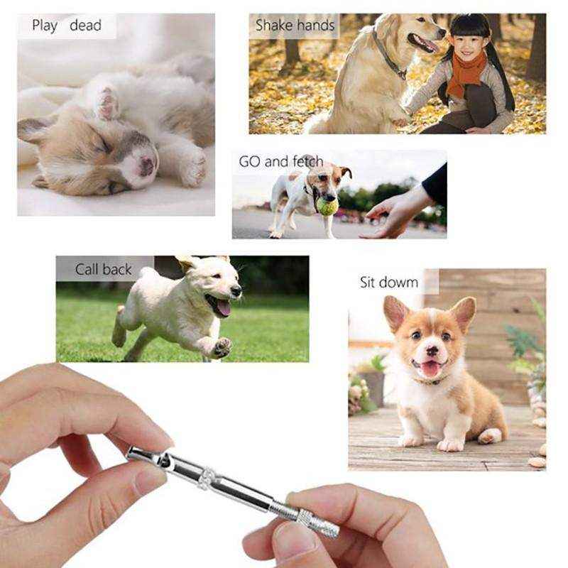Dog Puppy Obedience Training Whistle - Image 9