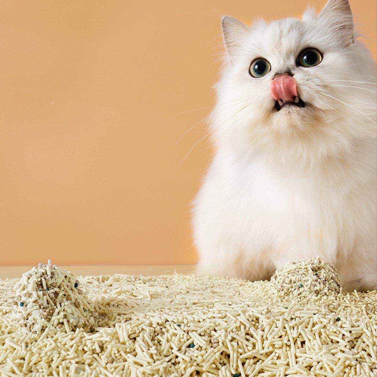 PETSHY High Quality Dust-Free Tofu Cat Litter - Image 5