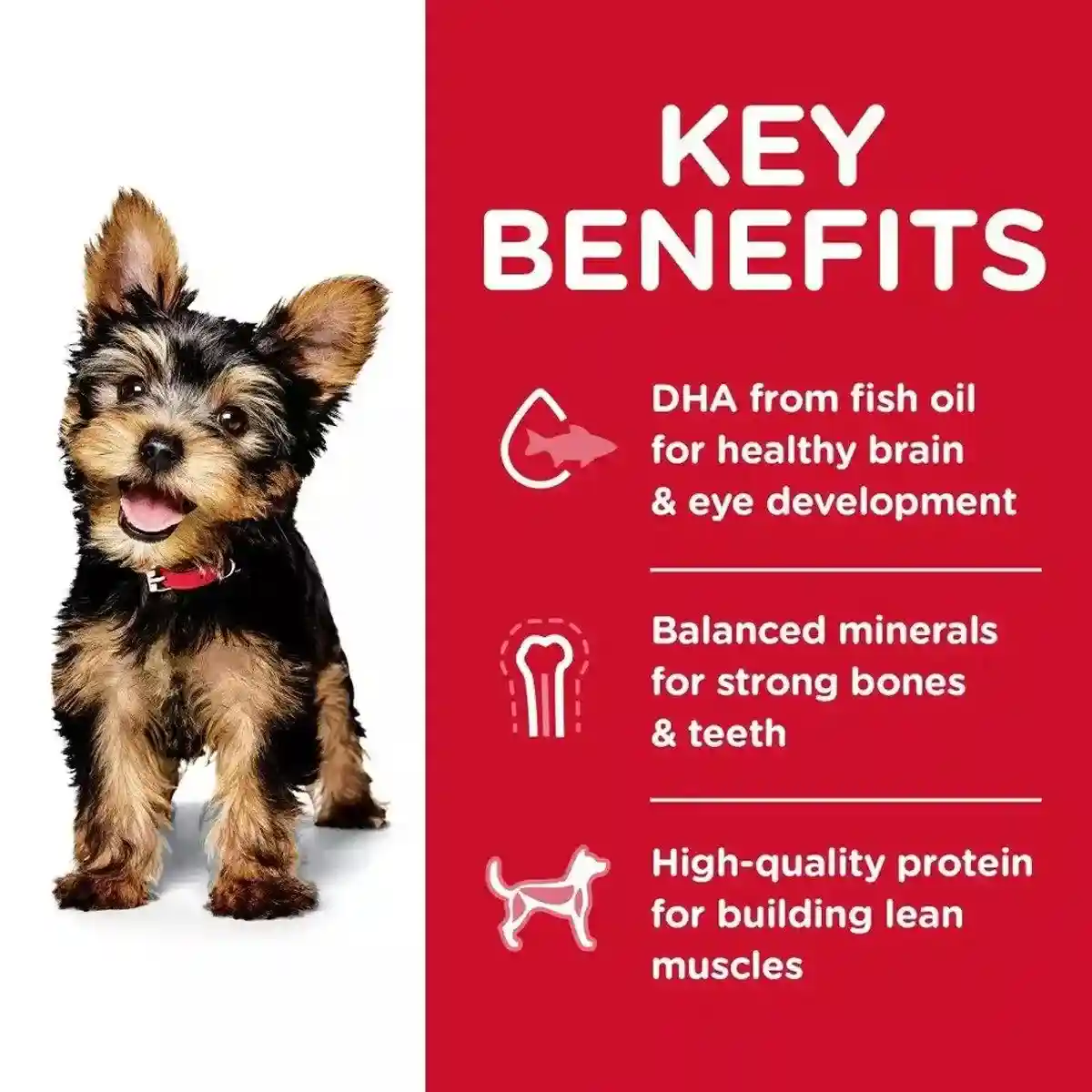 Hill’s Science Diet Small & Mini Puppy Dry Food - DHA & Nutrient-Rich Formula 5.67KG - Image 11