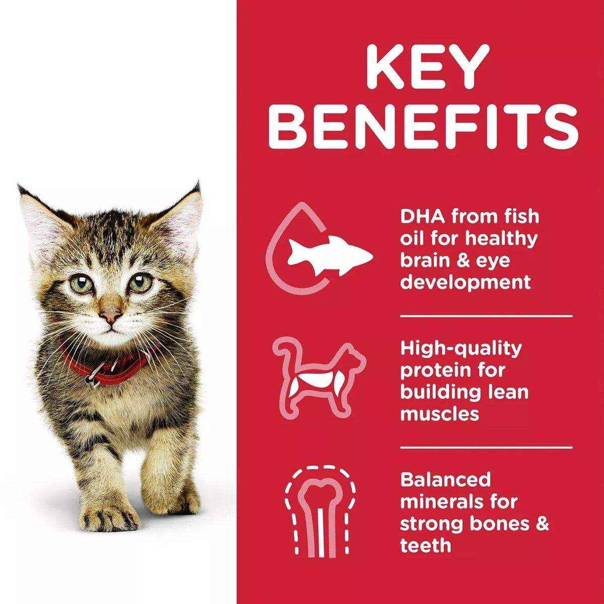 Hill's Science Diet Kitten Chicken Cat Food Pouches - Balanced Nutrition 85g*12 - Image 7