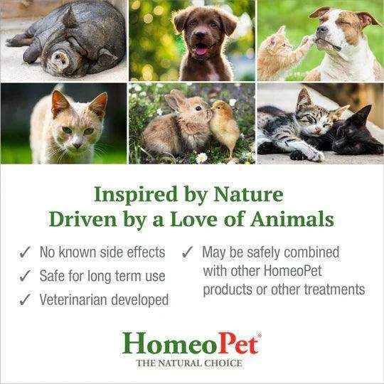 HomeoPet Feline Host No More 15ml - Image 5