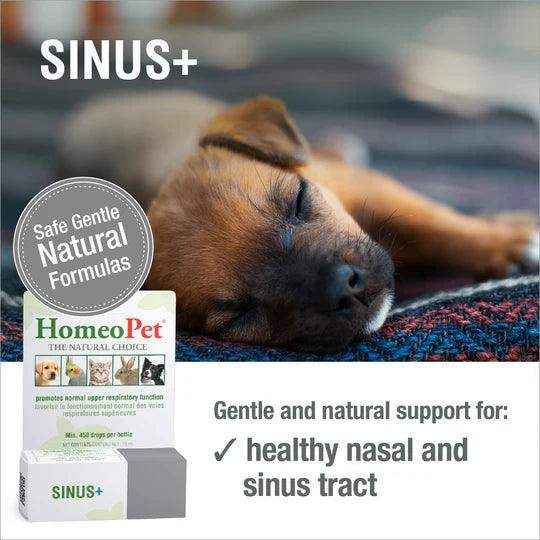 HomeoPet SINUS+ 15ML - Image 3