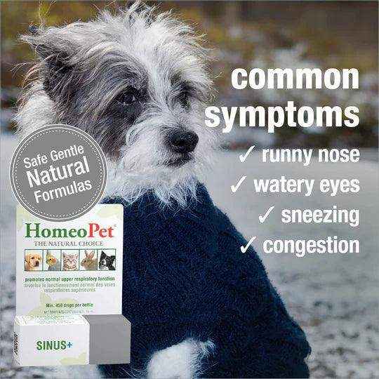 HomeoPet SINUS+ 15ML - Image 4