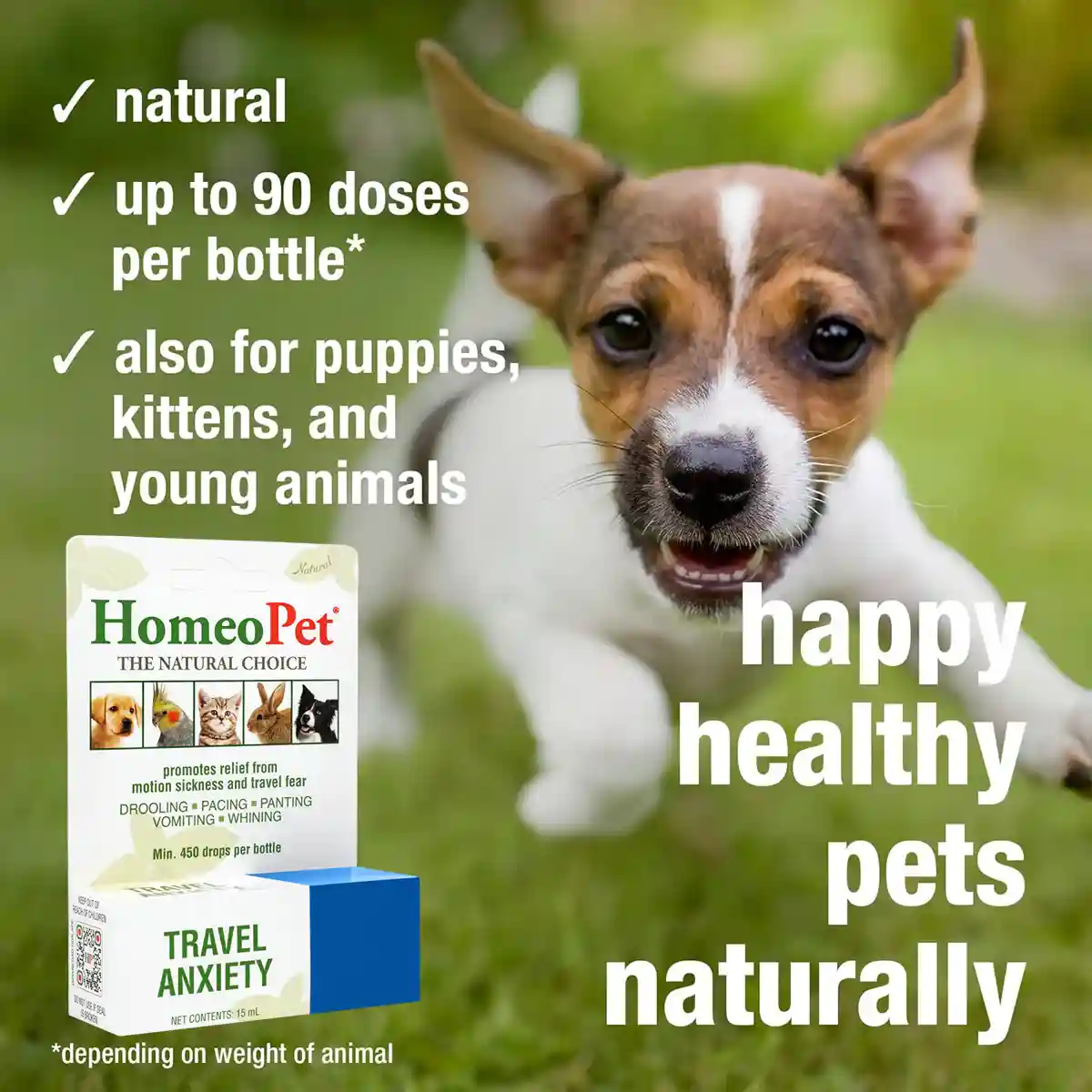 HomeoPet Travel Anxiety Relief Drops for Pets 15mL - Image 6