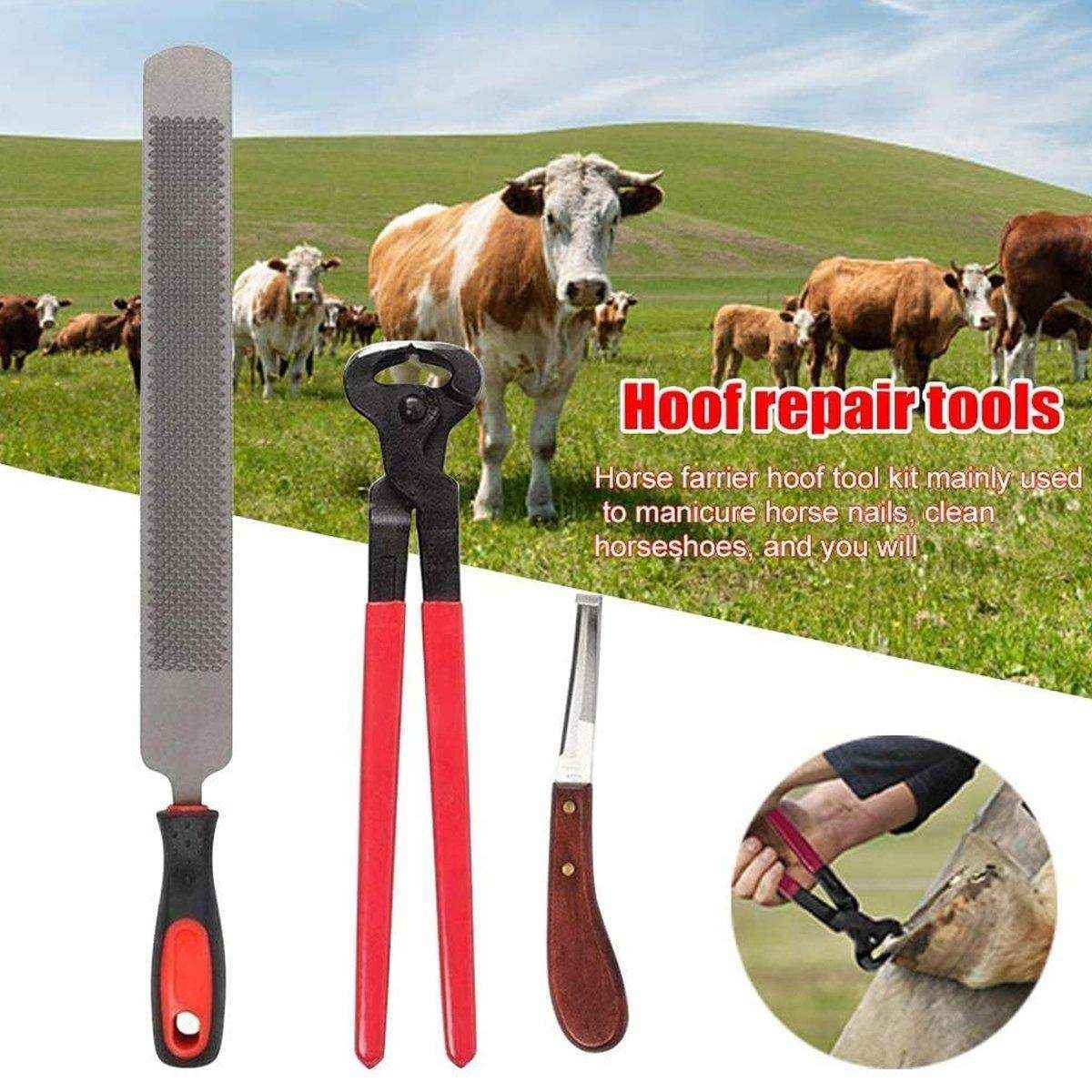 14 Inch Shoe Repair Tool Set Pliers File Knife Horseshoe Shear Hoof Trimming Plate - Image 12