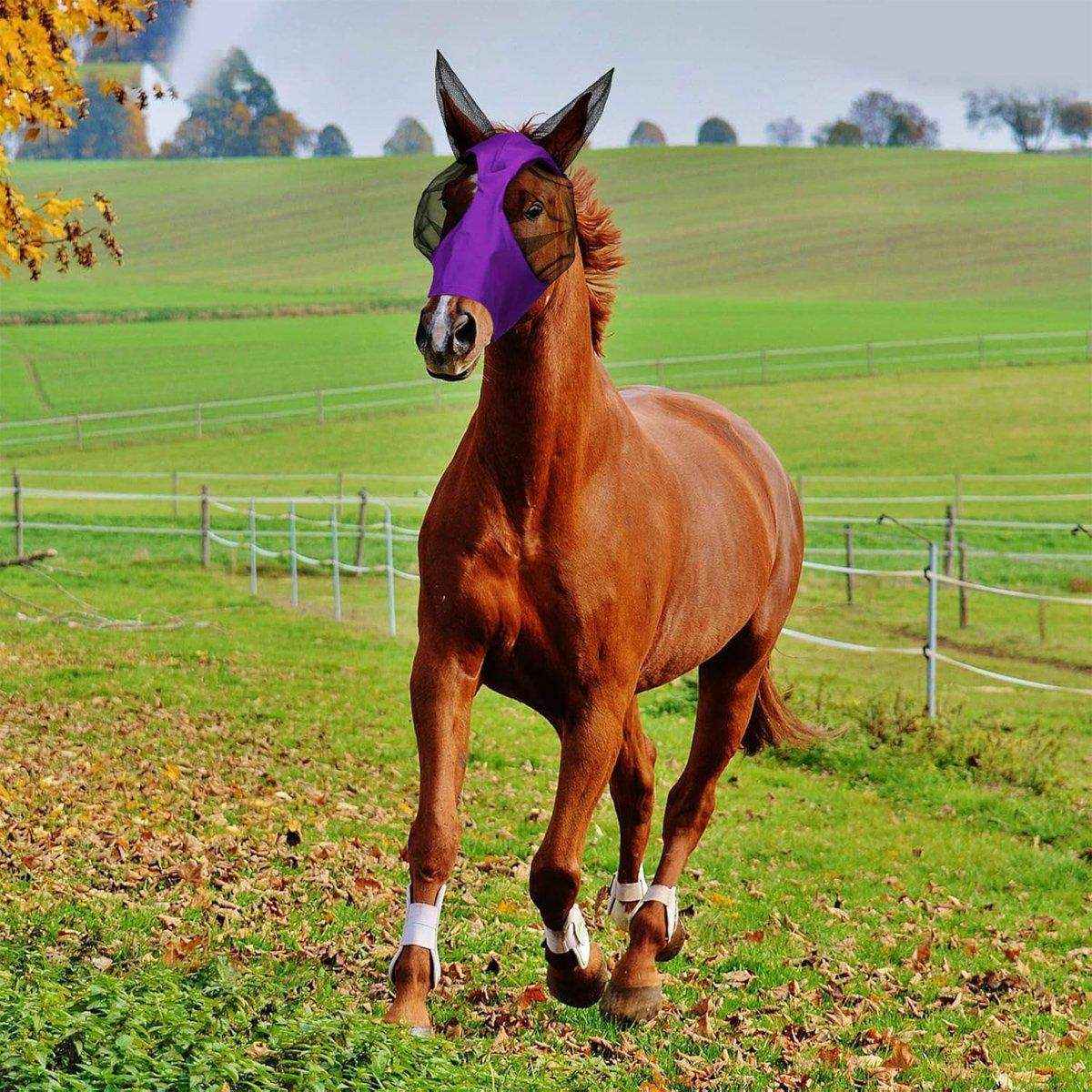 Horse Mask Horse Flying Mask Horse Anti Mosquito Mask Horse Face Mask Horse Hat - Image 11