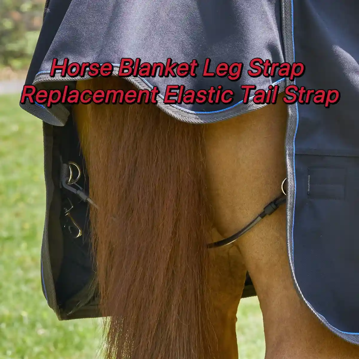 Horse Blanket Straps Elastic Double Clip Set With Storage Bag - Image 5