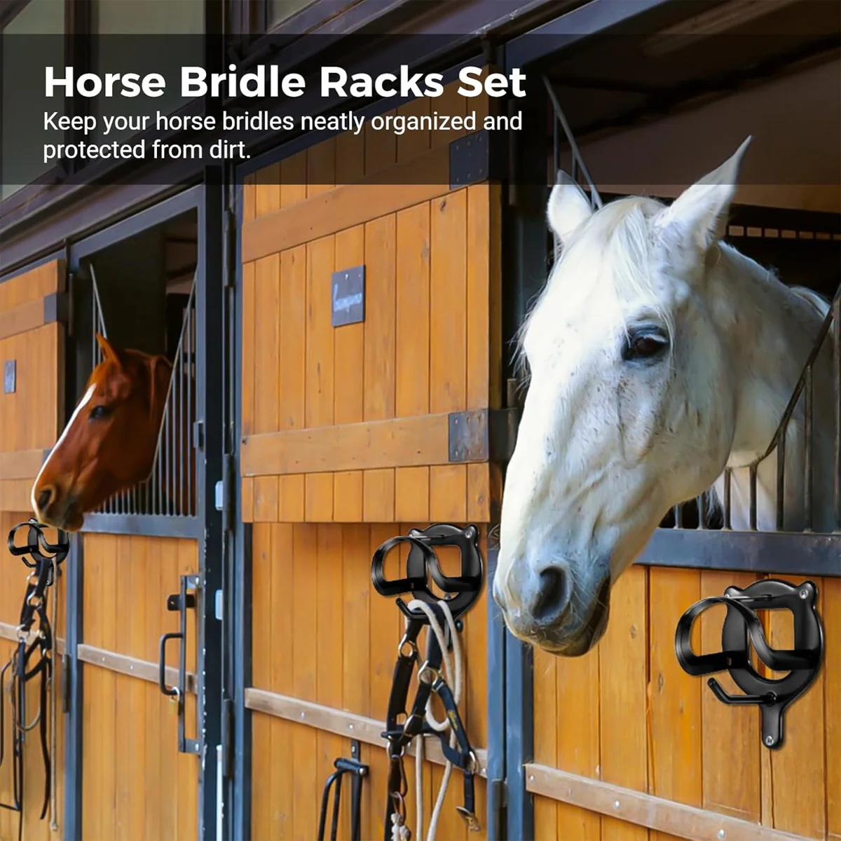 Horse Bridle Rack Wall Mount - Image 4