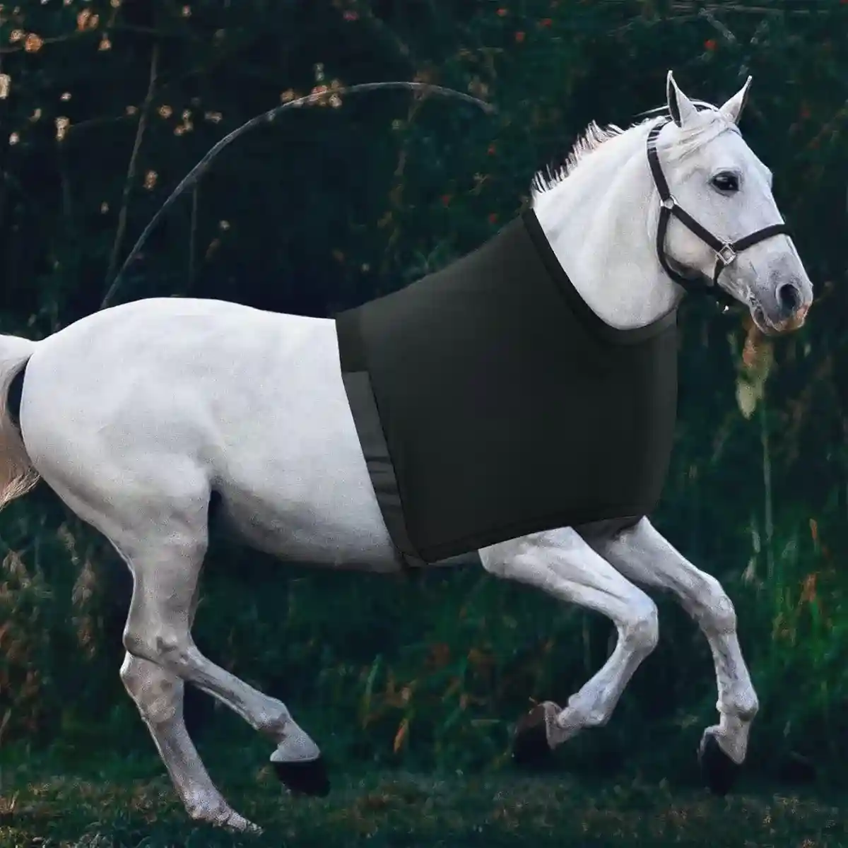 Breathable Horse Vest for Summer Anti-Mosquito Protection with Velcro Closure - Image 12