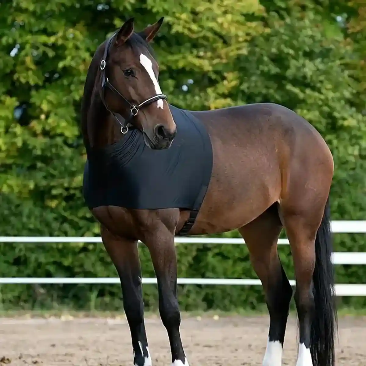 Breathable Horse Vest for Summer Anti-Mosquito Protection with Velcro Closure - Image 4