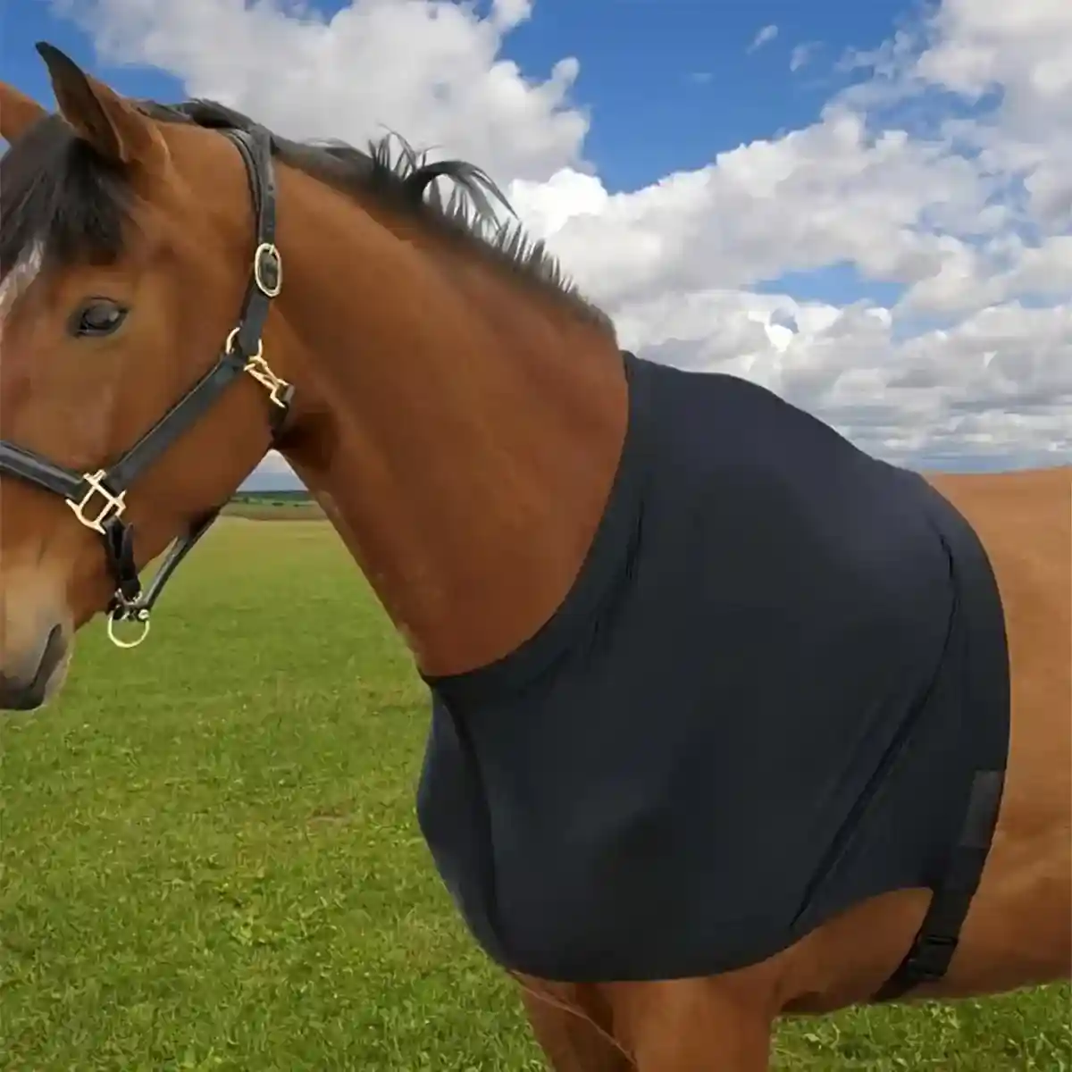 Breathable Horse Vest for Summer Anti-Mosquito Protection with Velcro Closure - Image 9