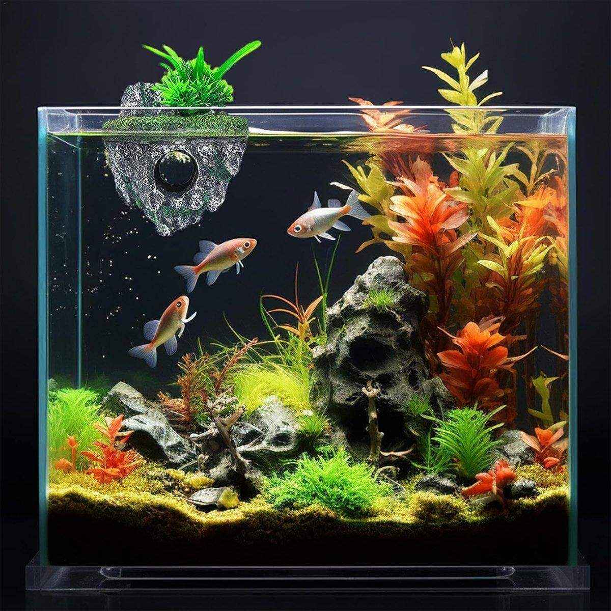 Aquarium Rocks for Beautiful Aquascapes - Image 5