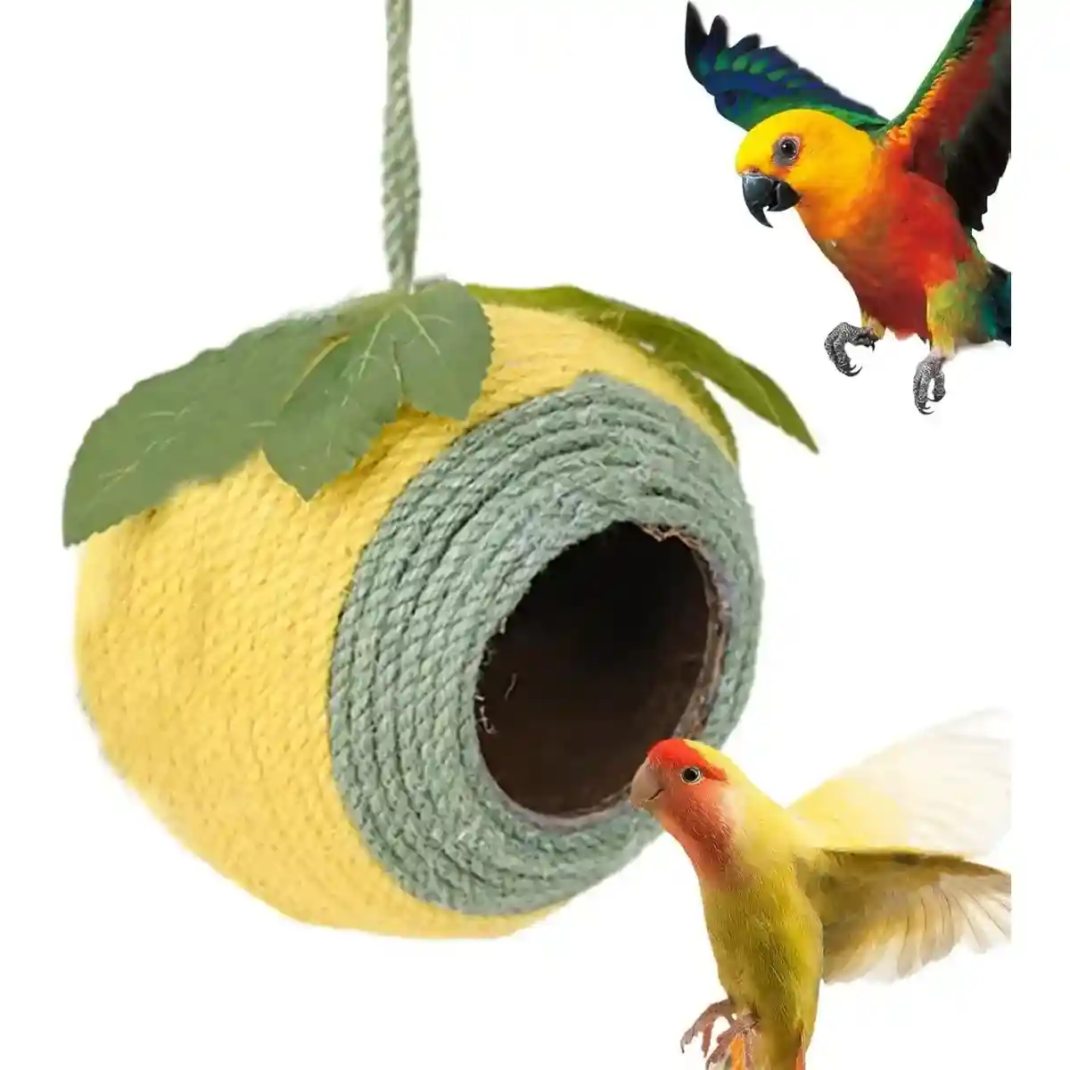 Natural Coconut Shell Bird Nest with Hanging or Screw Mount - Image 12