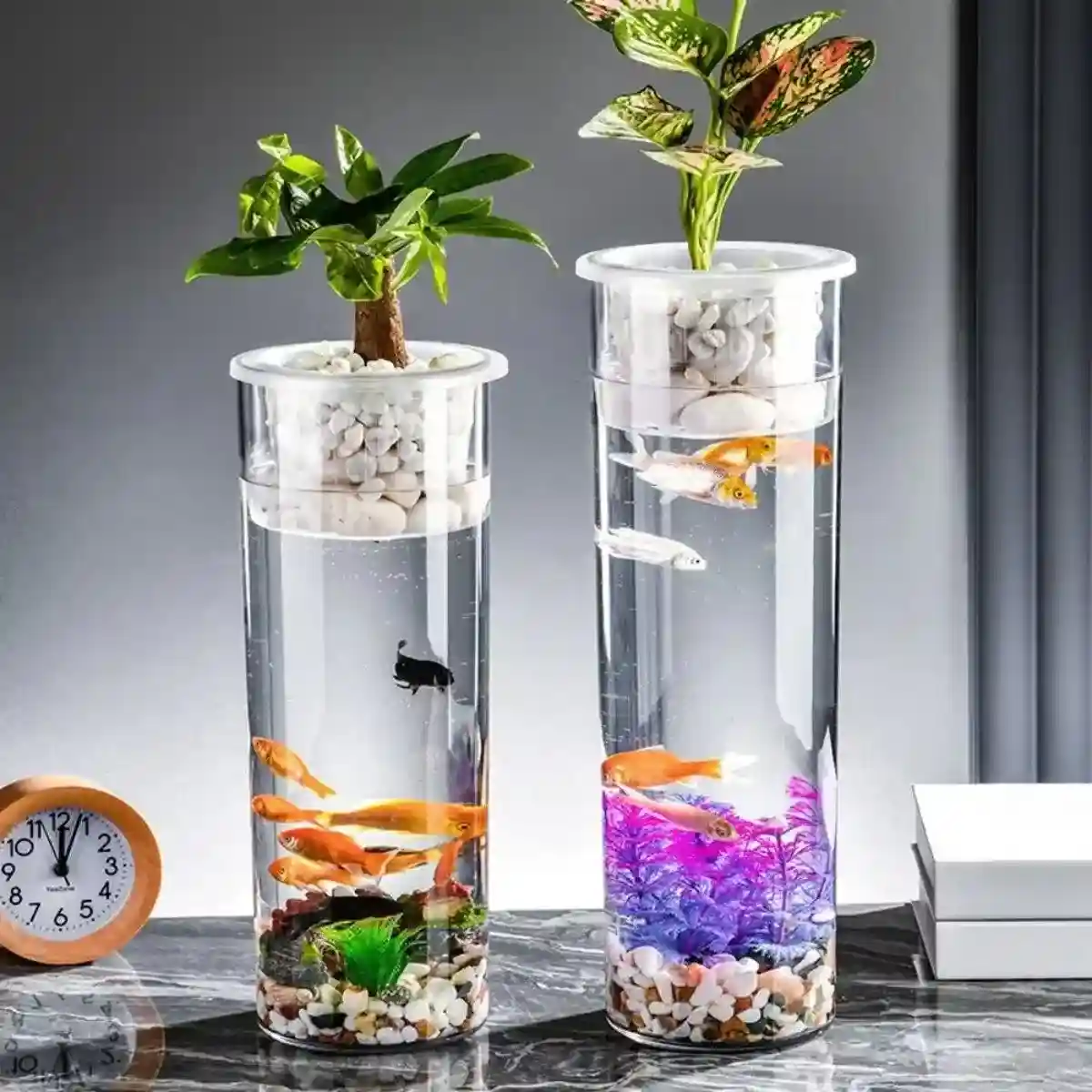 Modern Hydroponic Fish Tank with Cylindrical Design - Image 10