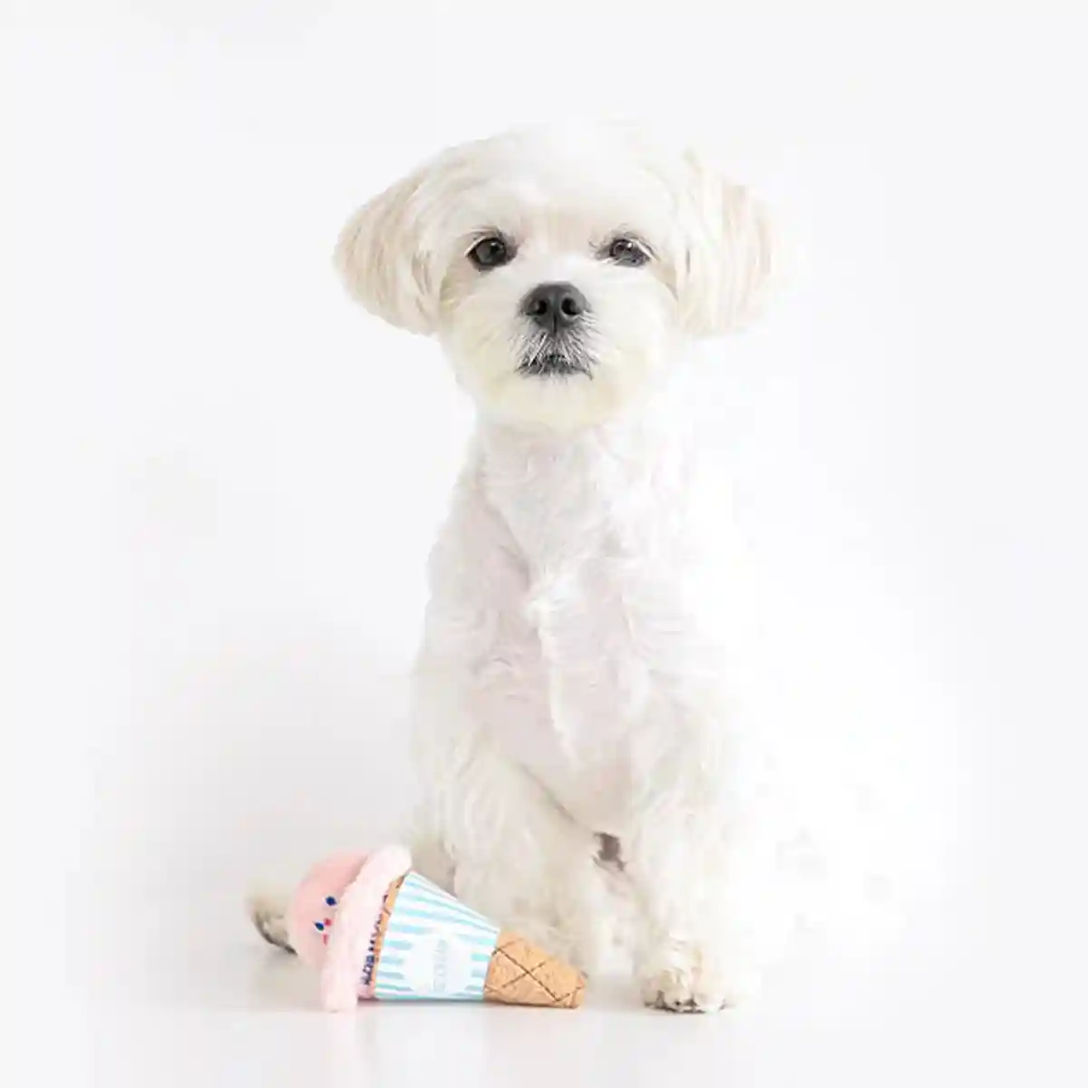 Ice Cream Cone Dog Chew Toy Plush With Squeaker - Image 12