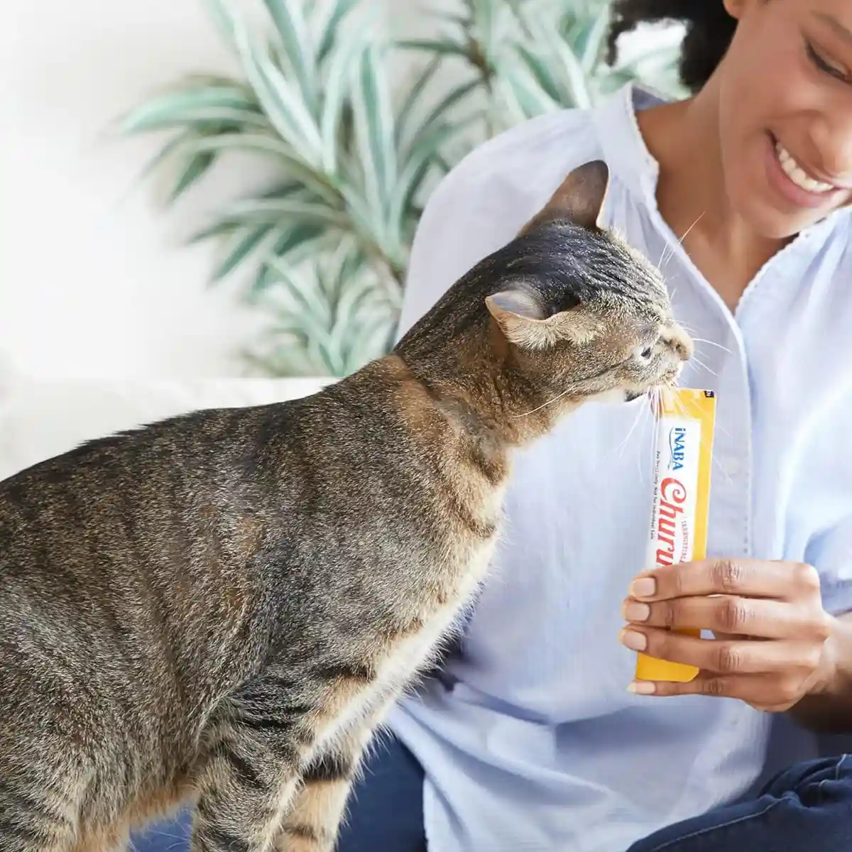 INABA Churu Chicken Variety Box Cat Treats - Image 7