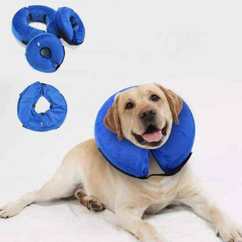 Inflatable Pet Healing Collar - Dog & Cat Medical Protective Cone Jackets - Image 9