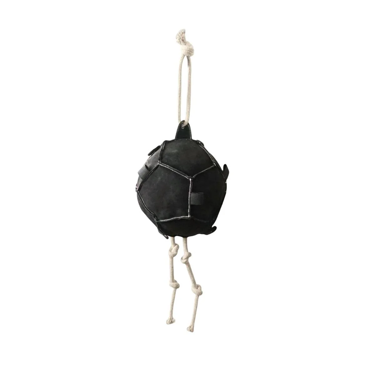 Interactive Carrot Training Feeding Grab Ball Black Interactive Toy Horse Supplies - Image 3
