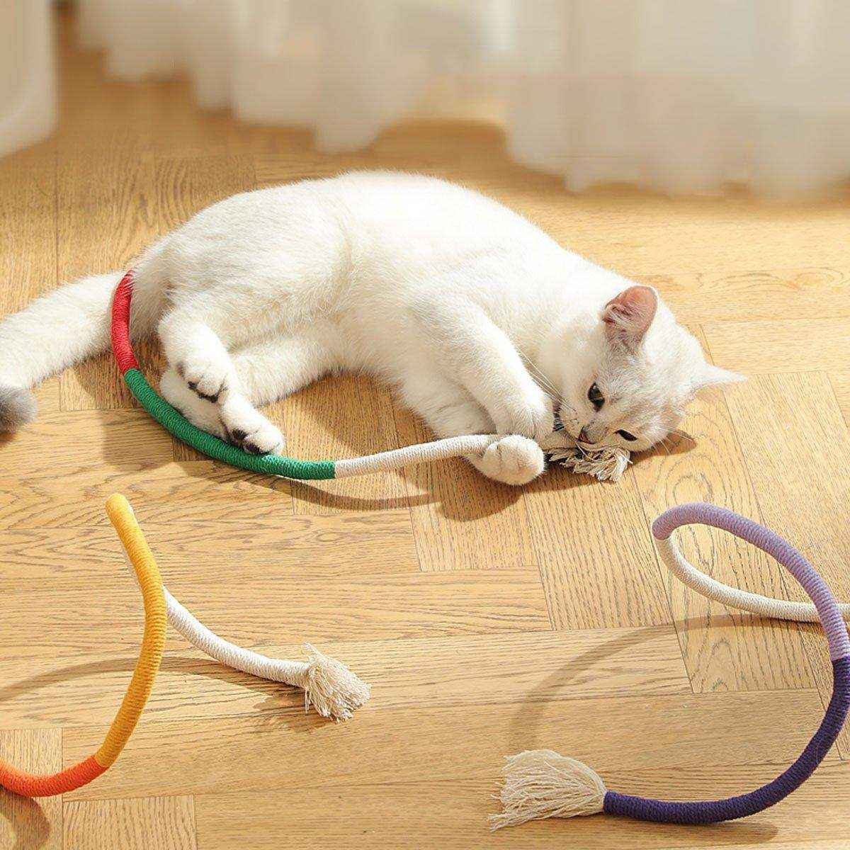 Cat Toy Creative Fun Teeth Molar Cleaning Cat Bite Rope - Image 6