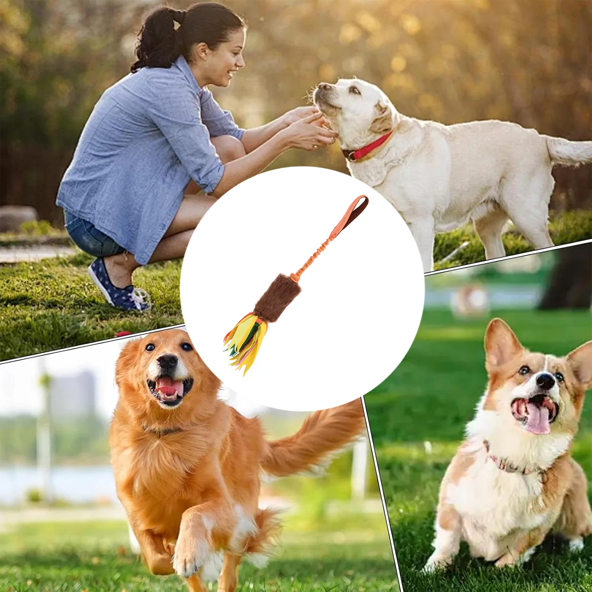 Interactive Dog Chew Toy With Rope And Tassel - Image 11