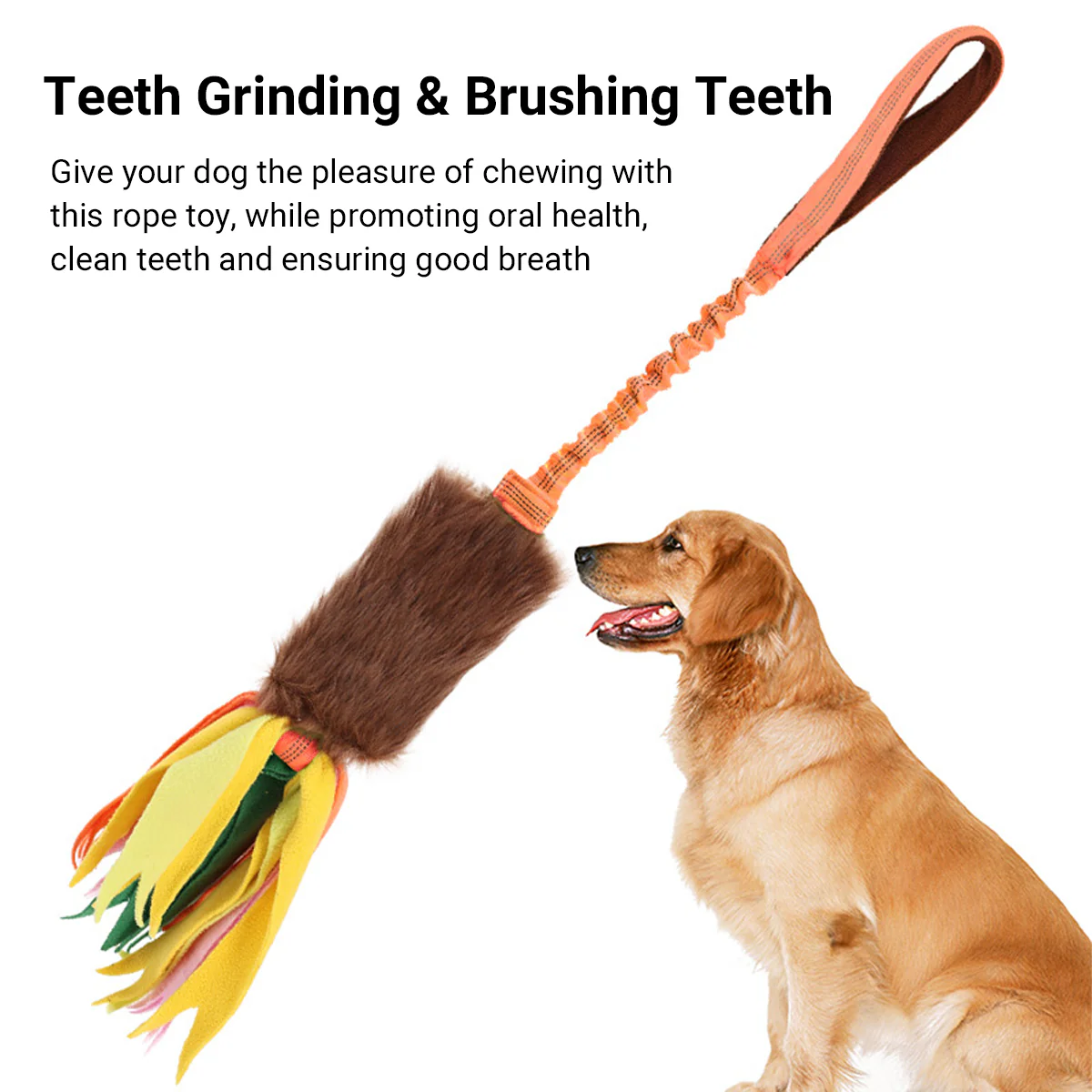 Interactive Dog Chew Toy With Rope And Tassel - Image 5