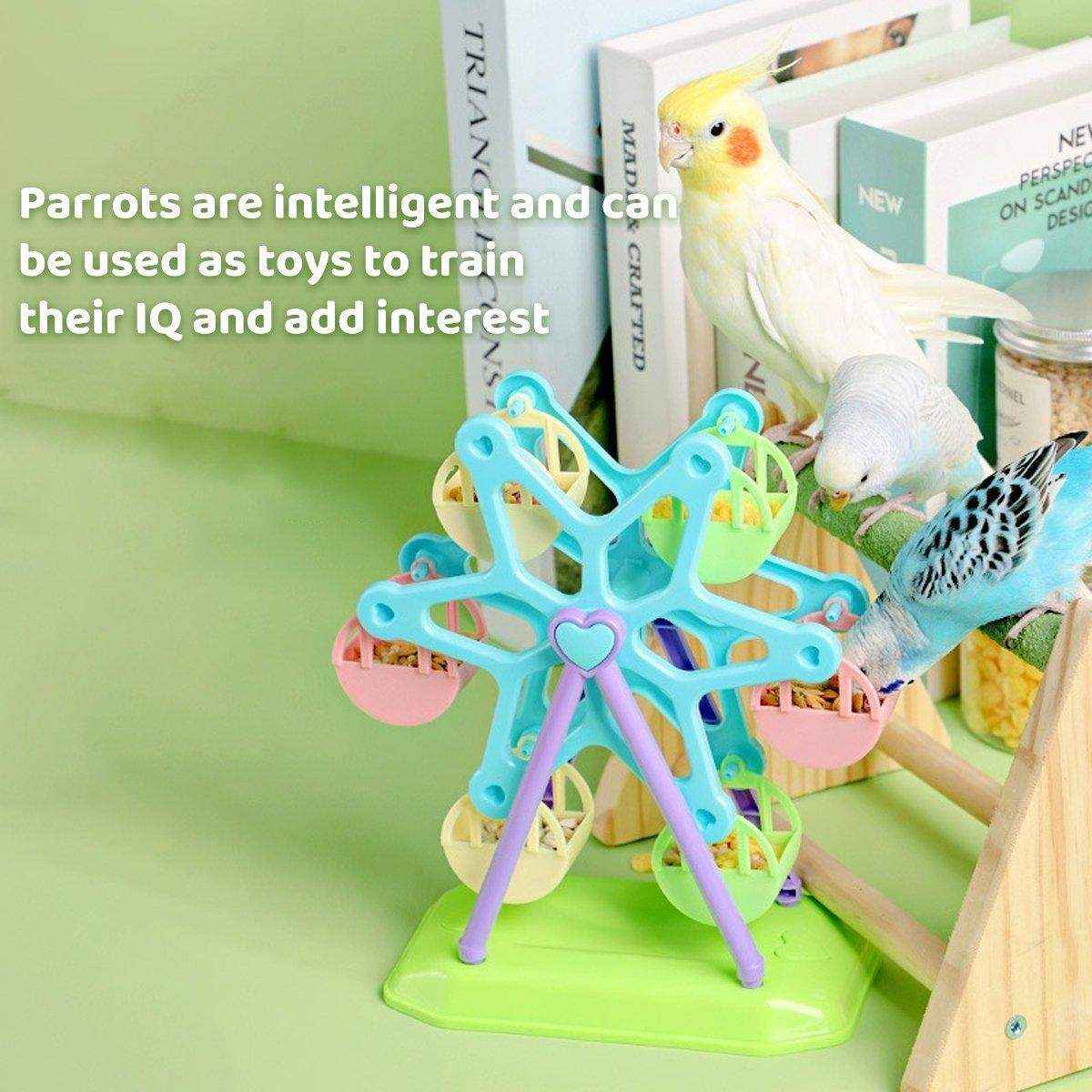 Interactive Ferris Wheel Snack Box Bird Toy Bird Feeder - Image 10
