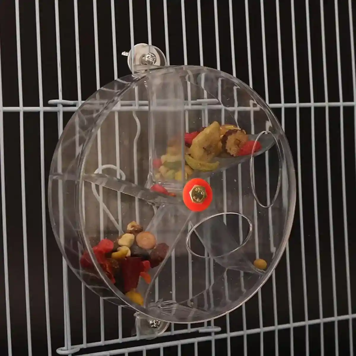 Interactive Parrot Foraging Wheel Toy - Image 13