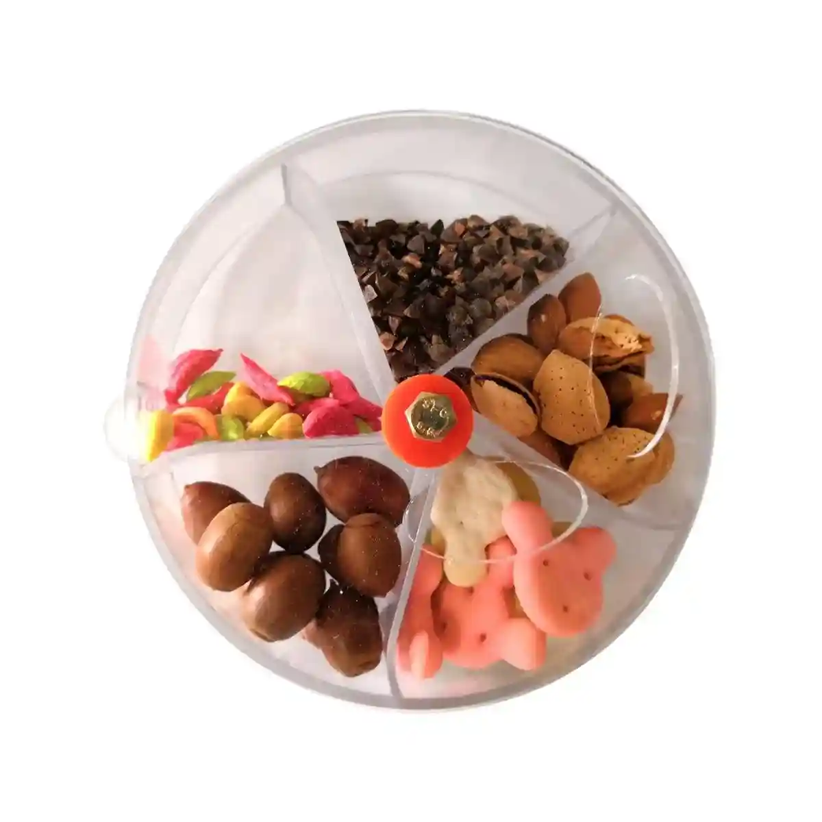 Interactive Parrot Foraging Wheel Toy - Image 15